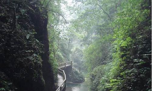 都江堰旅游攻略青城山_都江堰旅游攻略青城山路线