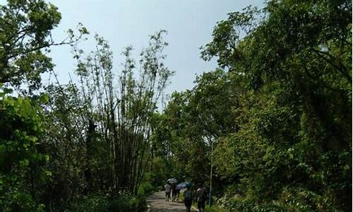 石花山公园山顶路线_石花山公园山顶路线图